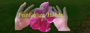 Info: Feinfühlige Hände - Wirbelsäule lesen (Winterthur) @ Treffpunkt: Post Oberwinterthur